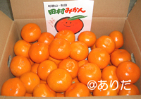 田村みかん