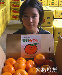 厳選田村みかん