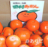 山下紅田村みかん家庭用