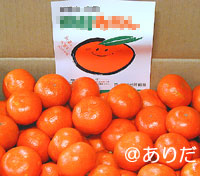 山下紅田村みかんS画像