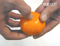 マルチ栽培田村みかん
