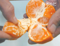 マルチ栽培田村みかん
