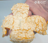 マルチ栽培田村みかん